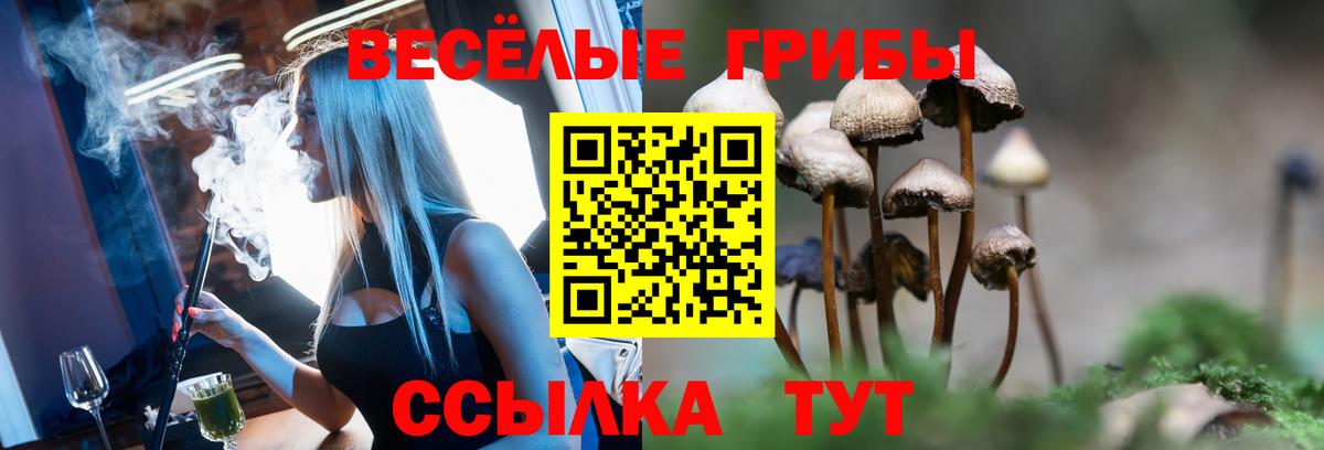 Феодосия  Псилоцибиновые грибы прущие грибы  закладка  Вход с VPN 